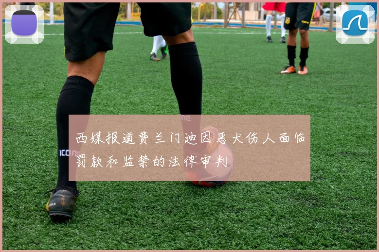 西媒报道费兰门迪因恶犬伤人面临罚款和监禁的法律审判