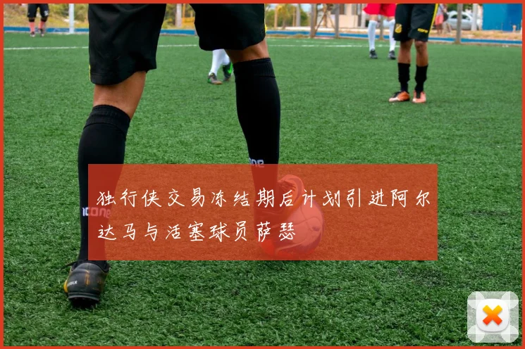 独行侠交易冻结期后计划引进阿尔达马与活塞球员萨瑟